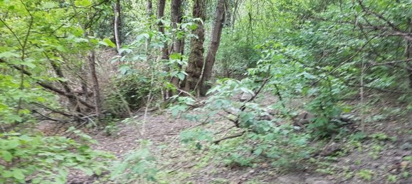  Land in Rhein-Neckar-Kreis, Germany No. 218917 2