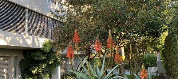 Casa T3 em Lisbon, Portugal N.º 97126 17