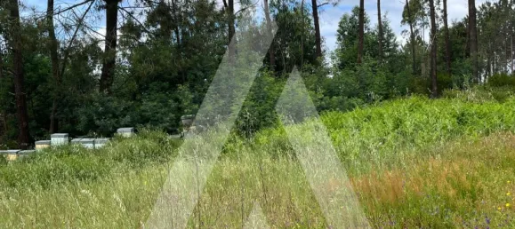 2197m² Land in Leiria, Portugal No. 89477 6