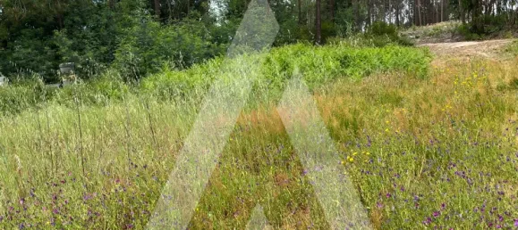 2197m² Land in Leiria, Portugal No. 89477 7