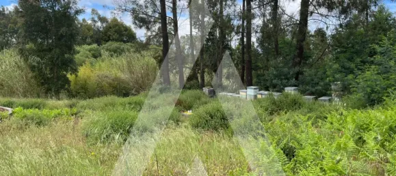 2197m² Land in Leiria, Portugal No. 89477 10