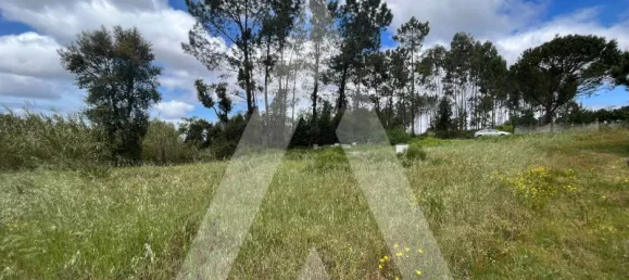 2197m² Land in Leiria, Portugal No. 89477 13