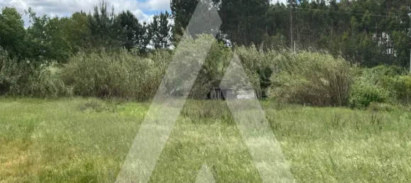 2197m² Land in Leiria, Portugal No. 89477 11