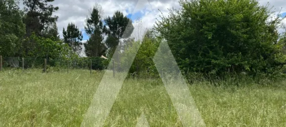 2197m² Land in Leiria, Portugal No. 89477 15