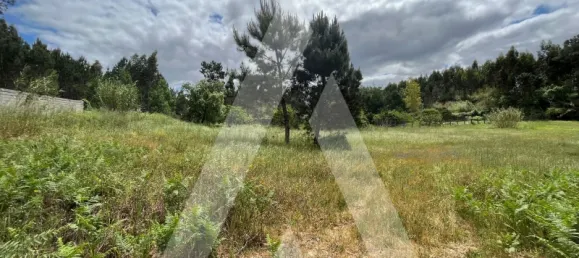 2197m² Land in Leiria, Portugal No. 89477 8