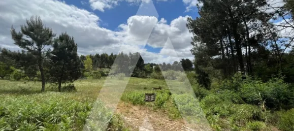 2197m² Land in Leiria, Portugal No. 89477 2