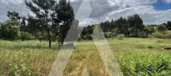 2197m² Land in Leiria, Portugal No. 89477 9