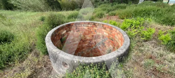 2197m² Land in Leiria, Portugal No. 89477 5