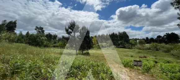 2197m² Land in Leiria, Portugal No. 89477 3