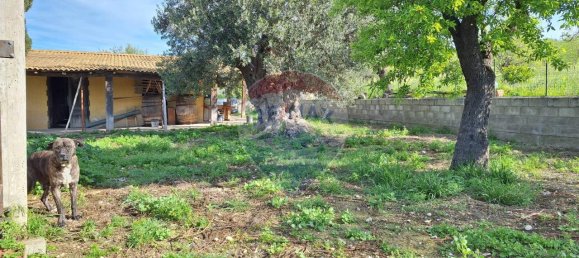 Земельный участок с 1 комнатой в Ното, Италия № 117806 8