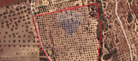 Земельный участок с 1 комнатой в Ното, Италия № 117806 14