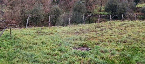 3850m² Land in Lavradas, Portugal No. 58515 4