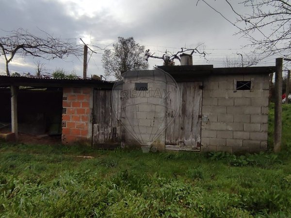 3850m² Land in Lavradas, Portugal No. 58515