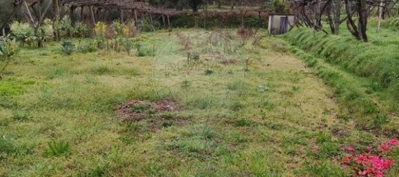 3850m² Land in Lavradas, Portugal No. 58515 2