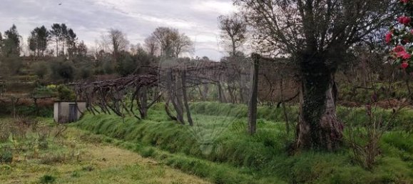 3850m² Land in Lavradas, Portugal No. 58515 5