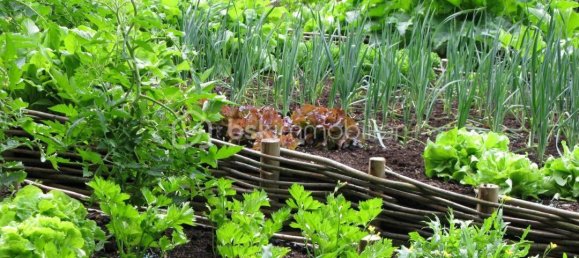 Grundstück in Auchel, France 580m², Nr. 45188 14