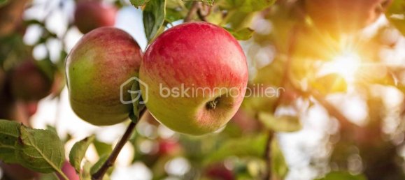 Grundstück in Auchel, France 580m², Nr. 45188 8