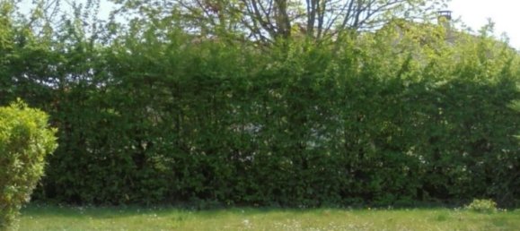 4 غرف نوم منزل في Beaulieu-sur-Loire, France رقم 73118 8