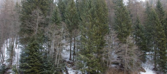 Edifício em Ayas, Italy 1300 m² N.º 298686 6