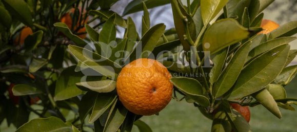 6 rooms Villa in Pordenone, Italy No. 14625 42