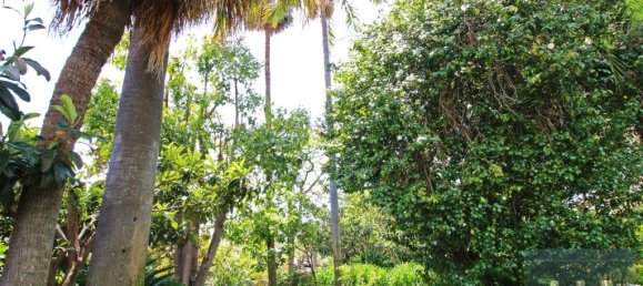 6 Schlafzimmer Haus in Funchal, Portugal, Nr. 206987 12