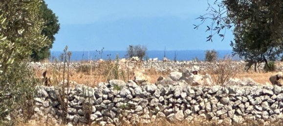 Земельный участок в Tiggiano, Италия № 342906 18