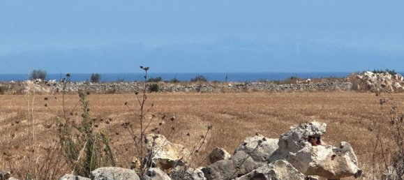 Земельный участок в Tiggiano, Италия № 342906 14