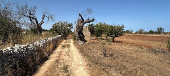 Земельный участок в Tiggiano, Италия № 342906 20