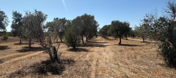 Земельный участок в Tiggiano, Италия № 342906 15