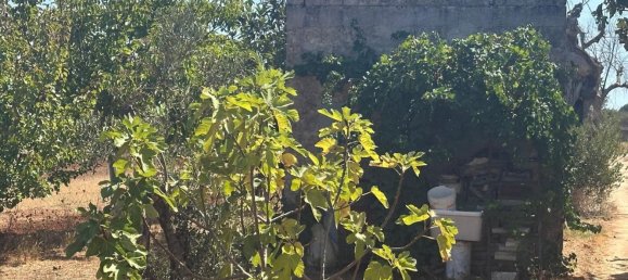 Земельный участок в Tiggiano, Италия № 342906 19