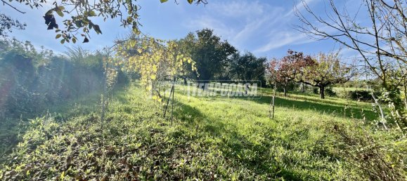 6غرفة فيلا في Spoltore, Italy رقم 210448 32