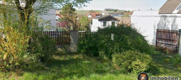  Land in Zillingtal, Austria No. 134668 4