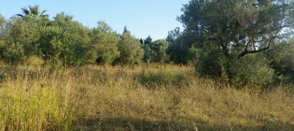 4250m² Hotel in Chalkidiki, Greece No. 6597 3