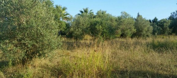 4250m² Hotel in Chalkidiki, Greece No. 6597 2