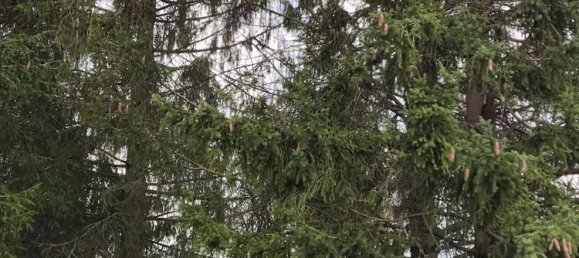 3 Schlafzimmer Stadthaus in Gelannes, France, Nr. 63096 19