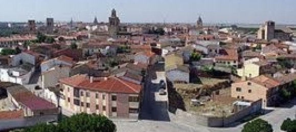 319m² Commercial property in Arevalo, Spain No. 76302 4