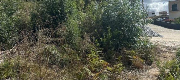  قطعة أرض في Penafiel, Portugal 10050متر مربع رقم 306285 2