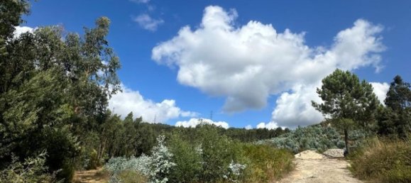  قطعة أرض في Penafiel, Portugal 10050متر مربع رقم 306285 3