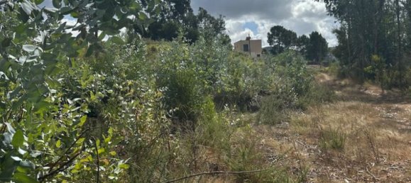  قطعة أرض في Penafiel, Portugal 10050متر مربع رقم 306285 8