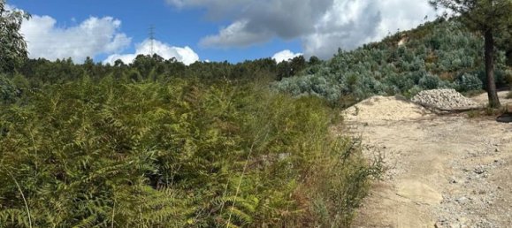  قطعة أرض في Penafiel, Portugal 10050متر مربع رقم 306285 6