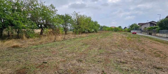  Land in Alessandria, Italy No. 338904 6
