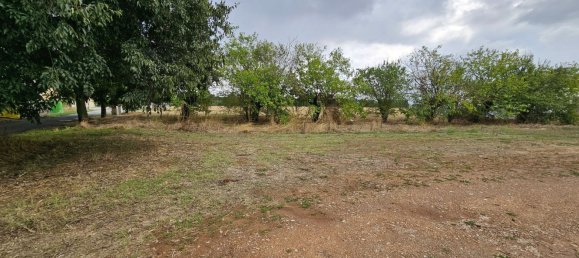  Land in Alessandria, Italy No. 338904 4