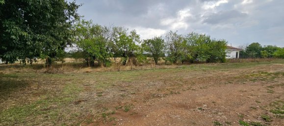  Land in Alessandria, Italy No. 338904 3