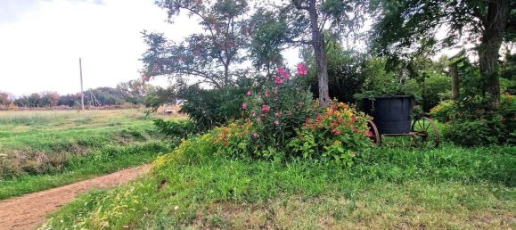  قطعة أرض في Viterbo, Italy رقم 317208 38