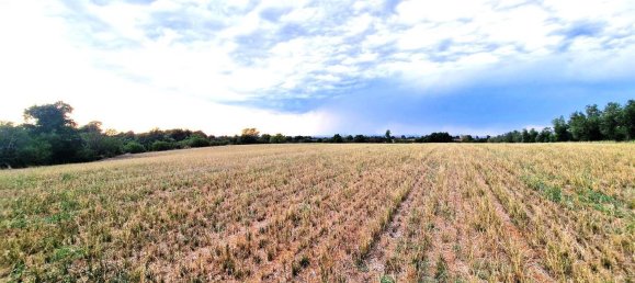  قطعة أرض في Viterbo, Italy رقم 317208 43