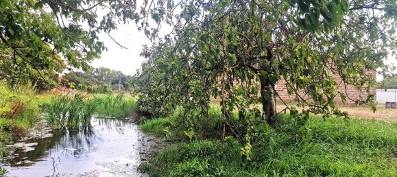  قطعة أرض في Viterbo, Italy رقم 317208 3