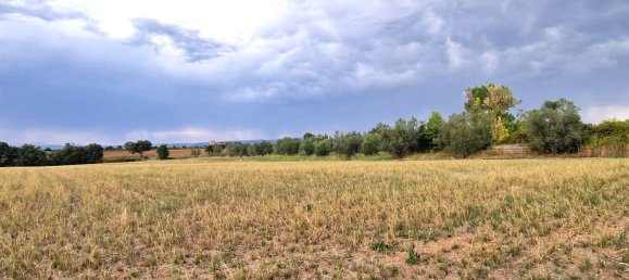  قطعة أرض في Viterbo, Italy رقم 317208 9