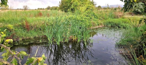  قطعة أرض في Viterbo, Italy رقم 317208 24