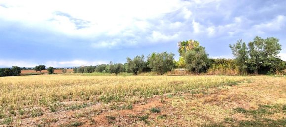  قطعة أرض في Viterbo, Italy رقم 317208 20