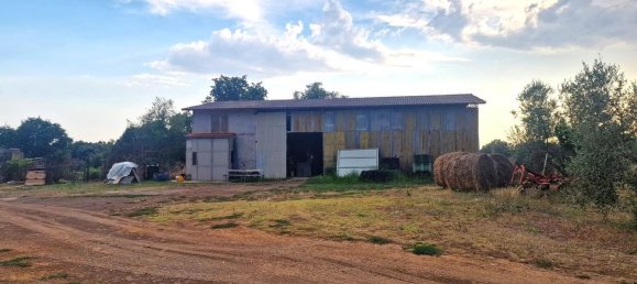  قطعة أرض في Viterbo, Italy رقم 317208 7